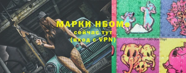 сатива Россошь