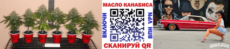 darknet как зайти  ОМГ ОМГ вход  Щигры  ТГК Wax 