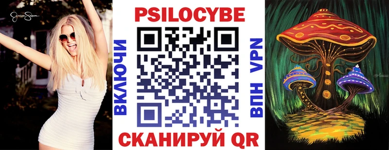 Галлюциногенные грибы Psilocybe  Щигры 